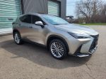 2023 Lexus NX 350 AWD - Image 3