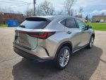 2023 Lexus NX 350 AWD - Image 5