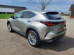 2023 Lexus NX 350 AWD - Image 7