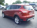 2014 Ford Escape SE - Image 7